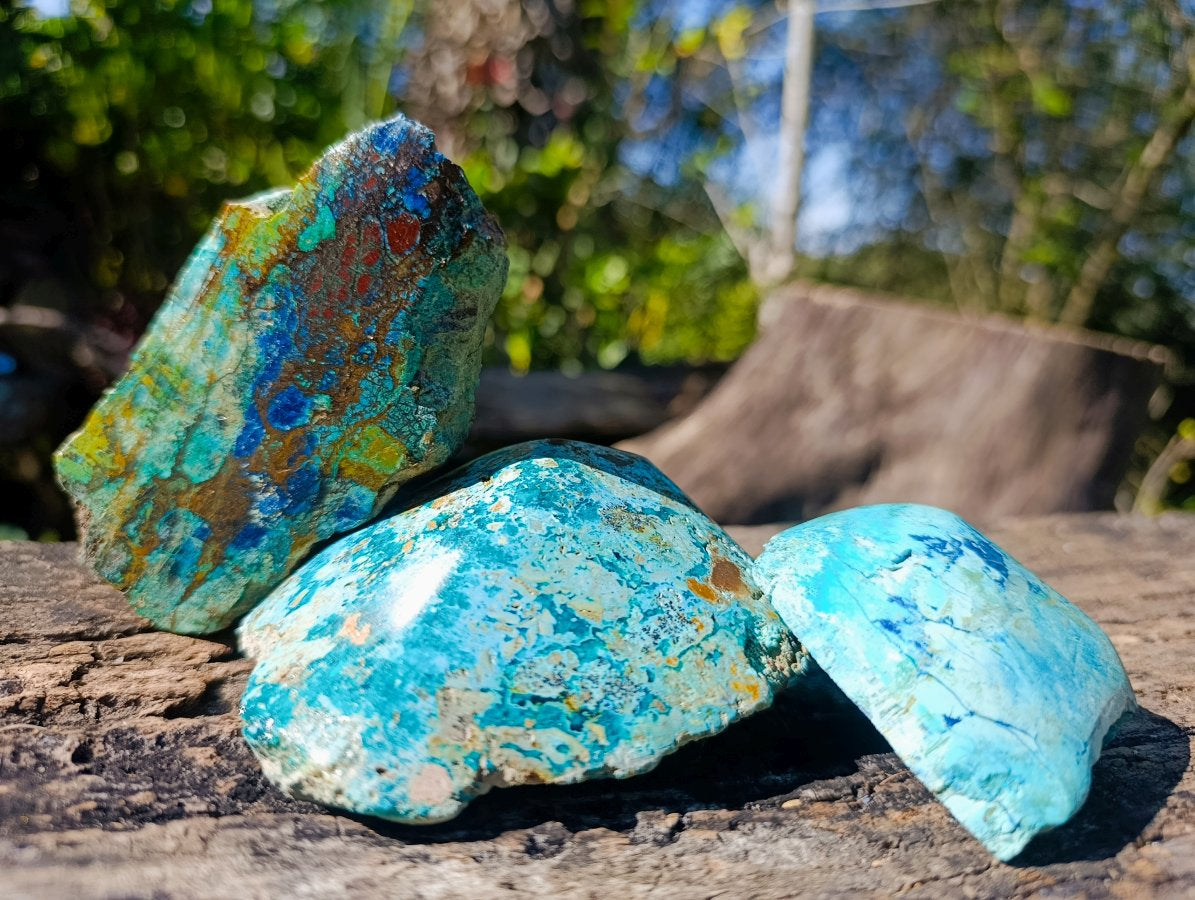 Polished on One Side Shattuckite Free Forms x 12 From Kaokoveld, Namibia - Toprock Gemstones and Minerals 