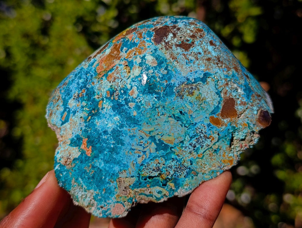Polished on One Side Shattuckite Free Forms x 12 From Kaokoveld, Namibia - Toprock Gemstones and Minerals 