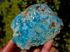 Polished on One Side Shattuckite Free Forms x 12 From Kaokoveld, Namibia - Toprock Gemstones and Minerals 