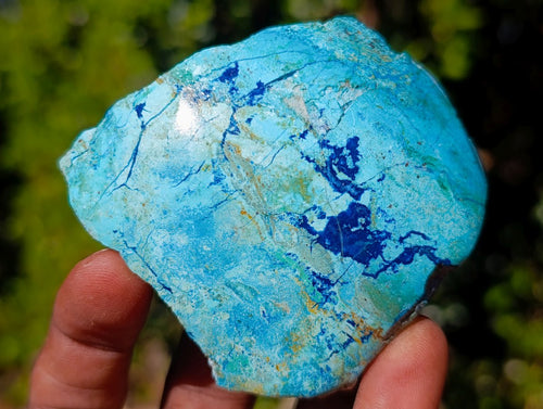 Polished on One Side Shattuckite Free Forms x 12 From Kaokoveld, Namibia - Toprock Gemstones and Minerals 