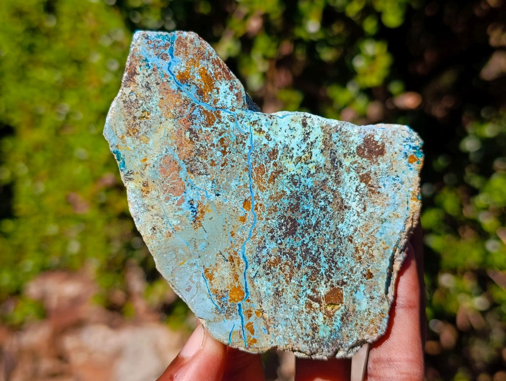 Polished on One Side Shattuckite Free Forms x 12 From Kaokoveld, Namibia - Toprock Gemstones and Minerals 