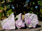 Natural Cobbed Stichtite Specimens x 35 From Barberton, South Africa - Toprock Gemstones and Minerals 