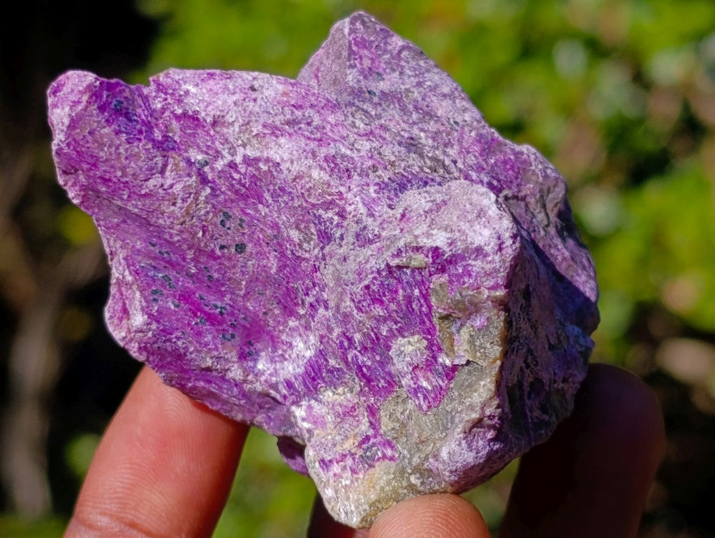 Natural Cobbed Stichtite Specimens x 35 From Barberton, South Africa - Toprock Gemstones and Minerals 