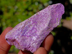 Natural Cobbed Stichtite Specimens x 35 From Barberton, South Africa - Toprock Gemstones and Minerals 