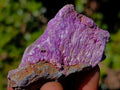 Natural Cobbed Stichtite Specimens x 35 From Barberton, South Africa - Toprock Gemstones and Minerals 