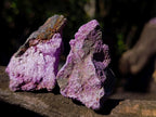 Natural Cobbed Stichtite Specimens x 35 From Barberton, South Africa - Toprock Gemstones and Minerals 