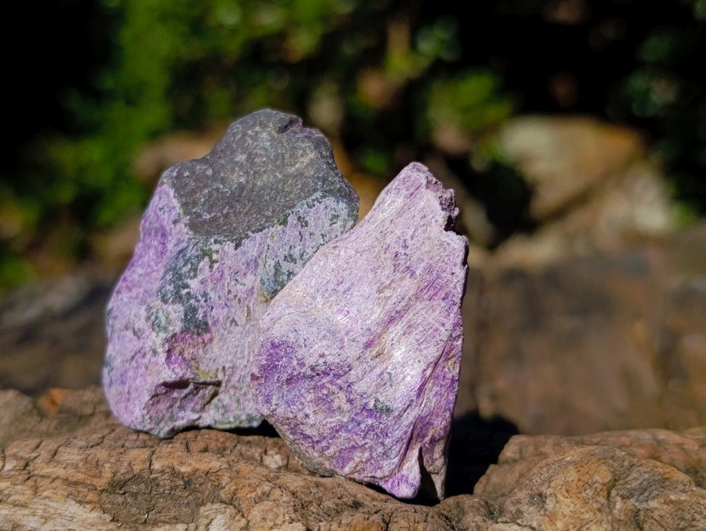 Natural Cobbed Stichtite Specimens x 35 From Barberton, South Africa - Toprock Gemstones and Minerals 