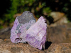 Natural Cobbed Stichtite Specimens x 35 From Barberton, South Africa - Toprock Gemstones and Minerals 