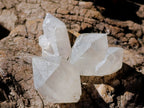 Natural Amethyst Window Quartz Crystals x 70 From Brandberg, Namibia - Toprock Gemstones and Minerals 