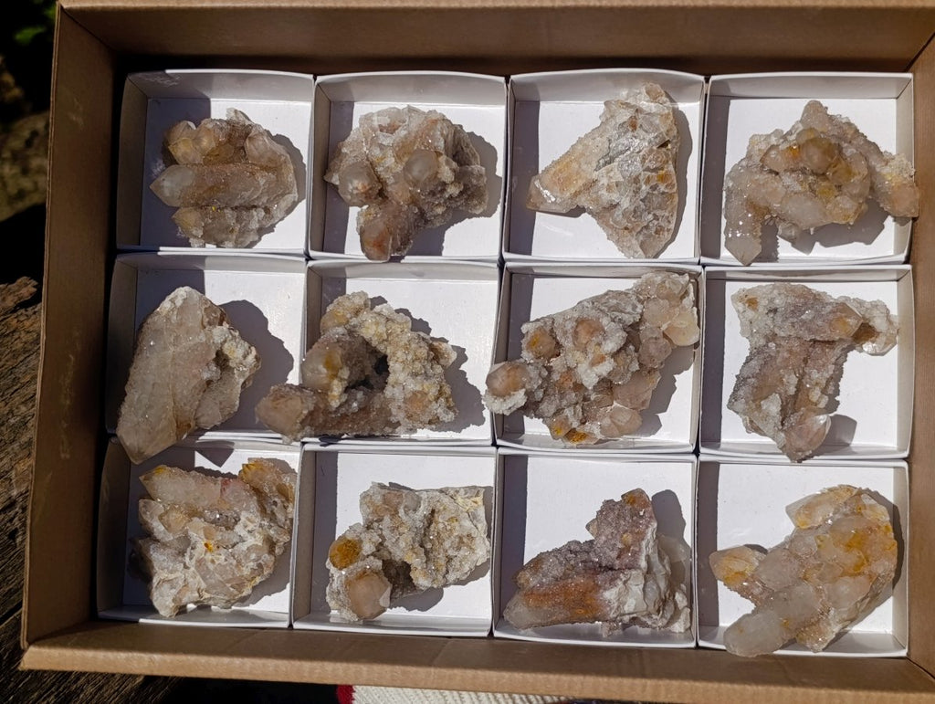 Natural Limonite Fairy Spirit Quartz Clusters x 12 From Boekenhouthoek, South Africa - Toprock Gemstones and Minerals 