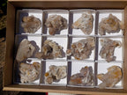 Natural Limonite Fairy Spirit Quartz Clusters x 12 From Boekenhouthoek, South Africa - Toprock Gemstones and Minerals 