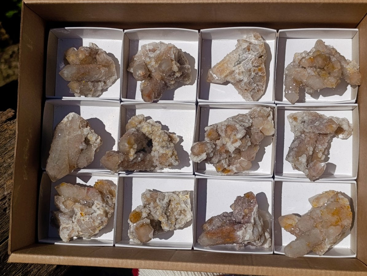 Natural Limonite Fairy Spirit Quartz Clusters x 12 From Boekenhouthoek, South Africa - Toprock Gemstones and Minerals 
