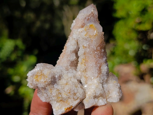 Natural Limonite Fairy Spirit Quartz Clusters x 12 From Boekenhouthoek, South Africa - Toprock Gemstones and Minerals 