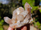 Natural Limonite Fairy Spirit Quartz Clusters x 12 From Boekenhouthoek, South Africa - Toprock Gemstones and Minerals 