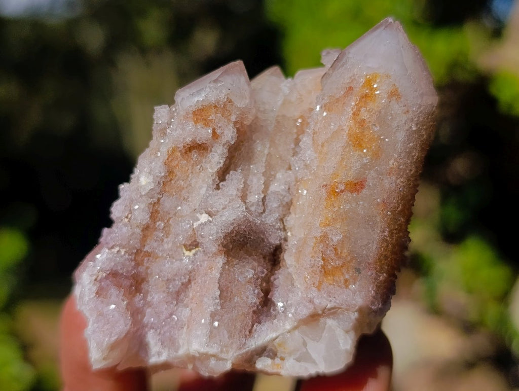 Natural Limonite Fairy Spirit Quartz Clusters x 12 From Boekenhouthoek, South Africa - Toprock Gemstones and Minerals 