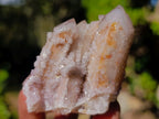 Natural Limonite Fairy Spirit Quartz Clusters x 12 From Boekenhouthoek, South Africa - Toprock Gemstones and Minerals 