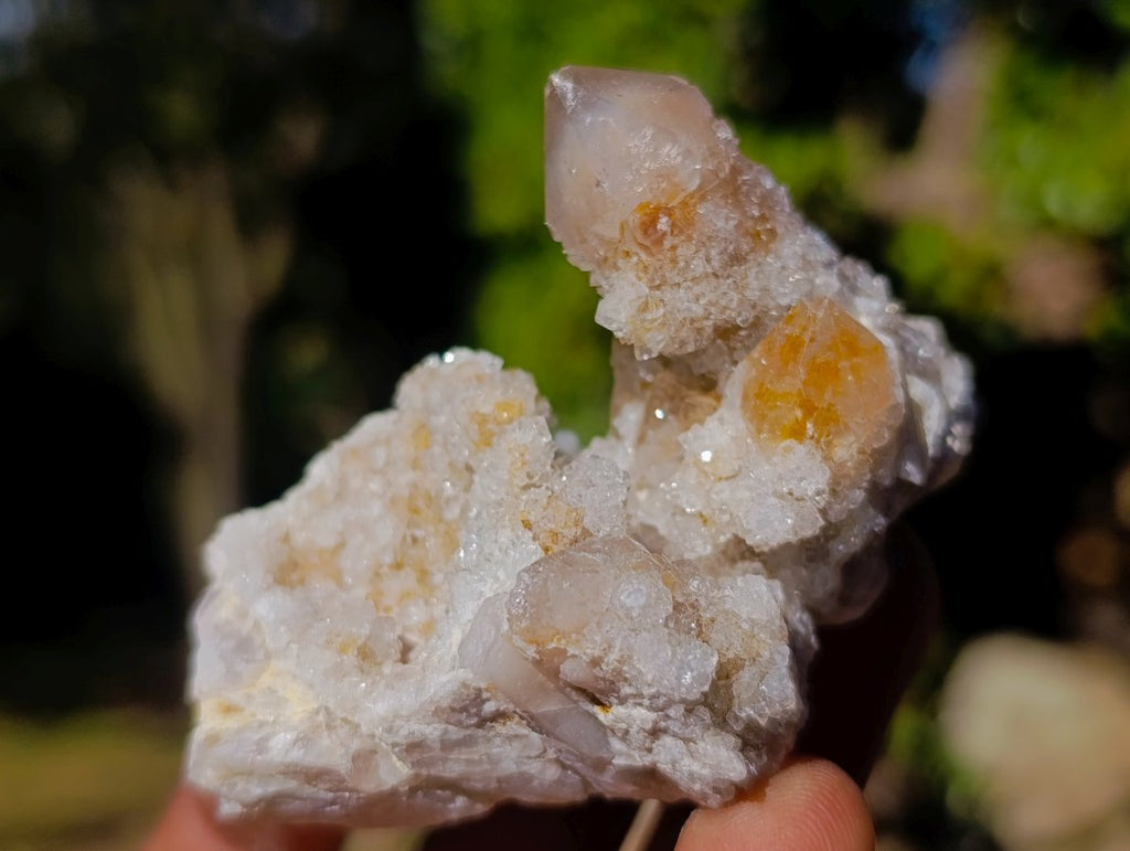 Natural Limonite Fairy Spirit Quartz Clusters x 12 From Boekenhouthoek, South Africa - Toprock Gemstones and Minerals 