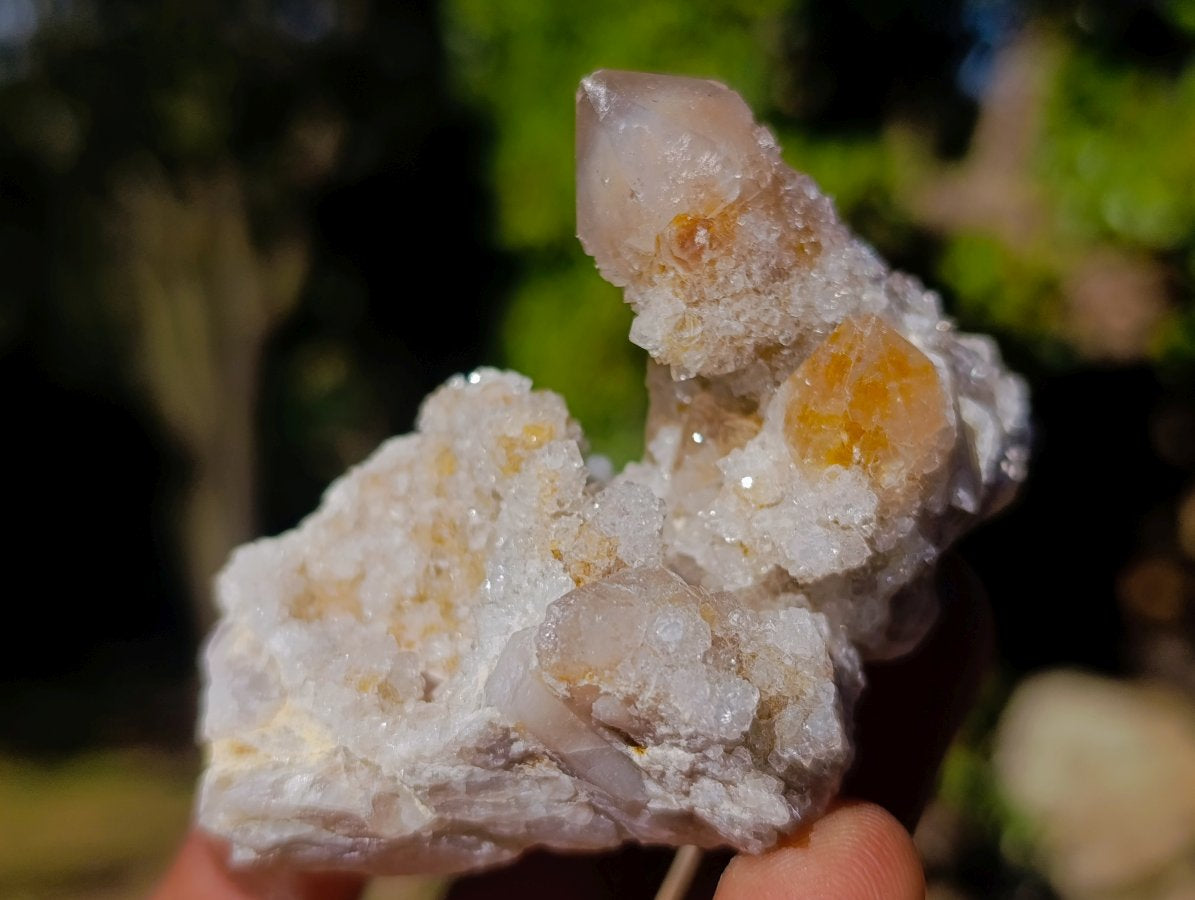 Natural Limonite Fairy Spirit Quartz Clusters x 12 From Boekenhouthoek, South Africa - Toprock Gemstones and Minerals 