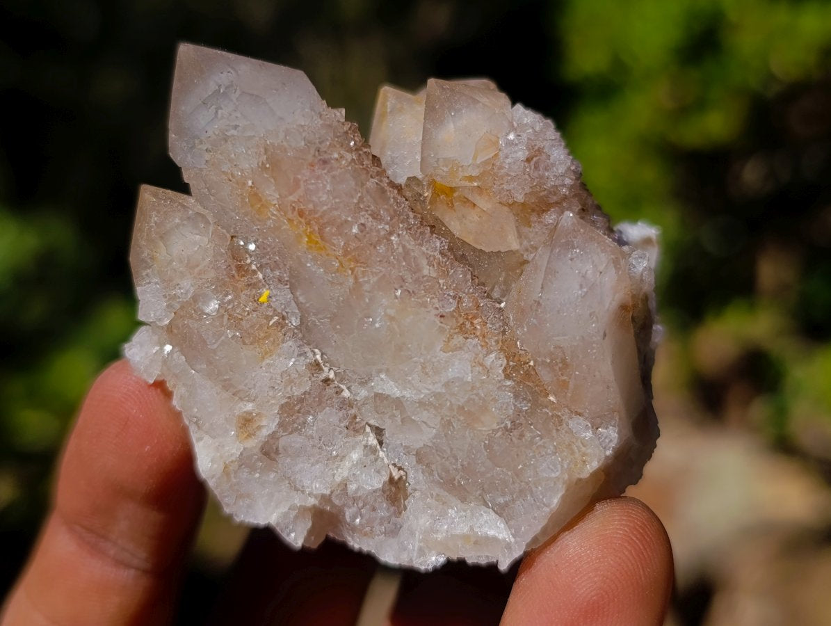 Natural Limonite Fairy Spirit Quartz Clusters x 12 From Boekenhouthoek, South Africa - Toprock Gemstones and Minerals 