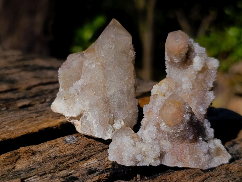 Natural Limonite Fairy Spirit Quartz Clusters x 12 From Boekenhouthoek, South Africa - Toprock Gemstones and Minerals 