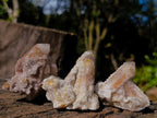 Natural Limonite Fairy Spirit Quartz Clusters x 12 From Boekenhouthoek, South Africa - Toprock Gemstones and Minerals 