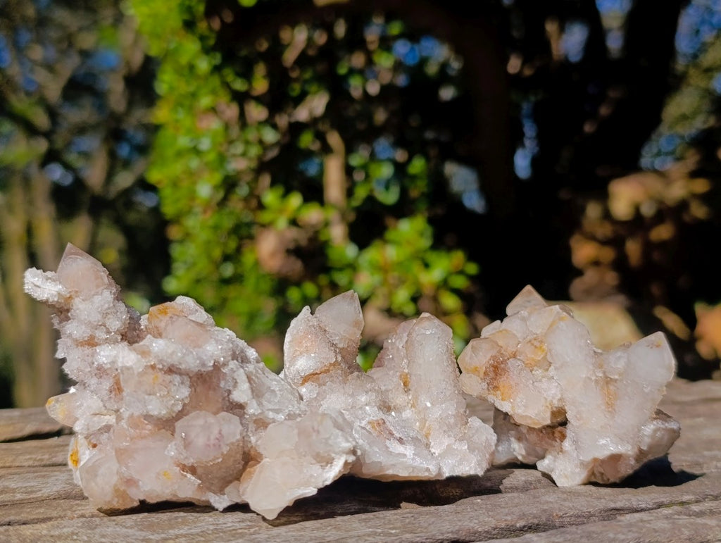 Natural Limonite Fairy Spirit Quartz Clusters x 12 From Boekenhouthoek, South Africa - Toprock Gemstones and Minerals 