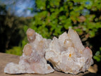 Natural Limonite Fairy Spirit Quartz Clusters x 12 From Boekenhouthoek, South Africa - Toprock Gemstones and Minerals 