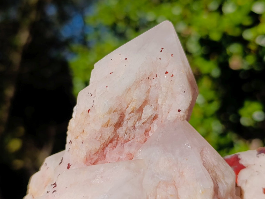 Natural Large Cascading "Anananas" Candle Quartz Cluster x 1 From Antsirabe, Madagascar - Toprock Gemstones and Minerals 