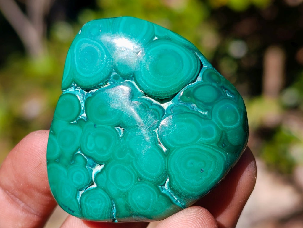 Polished Malacolla Free Forms x 12 From Kulukuluku, Congo - Toprock Gemstones and Minerals 