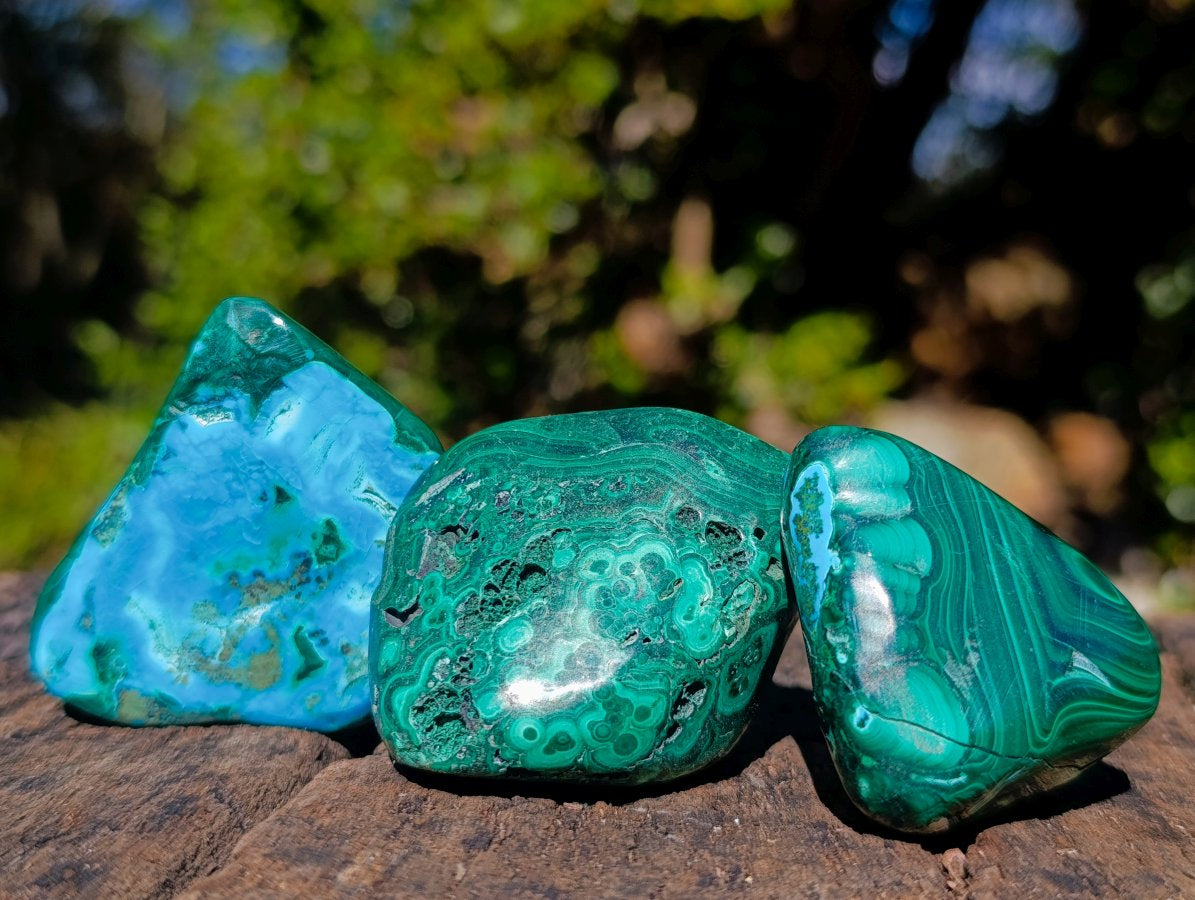 Polished Malacolla Free Forms x 12 From Kulukuluku, Congo - Toprock Gemstones and Minerals 
