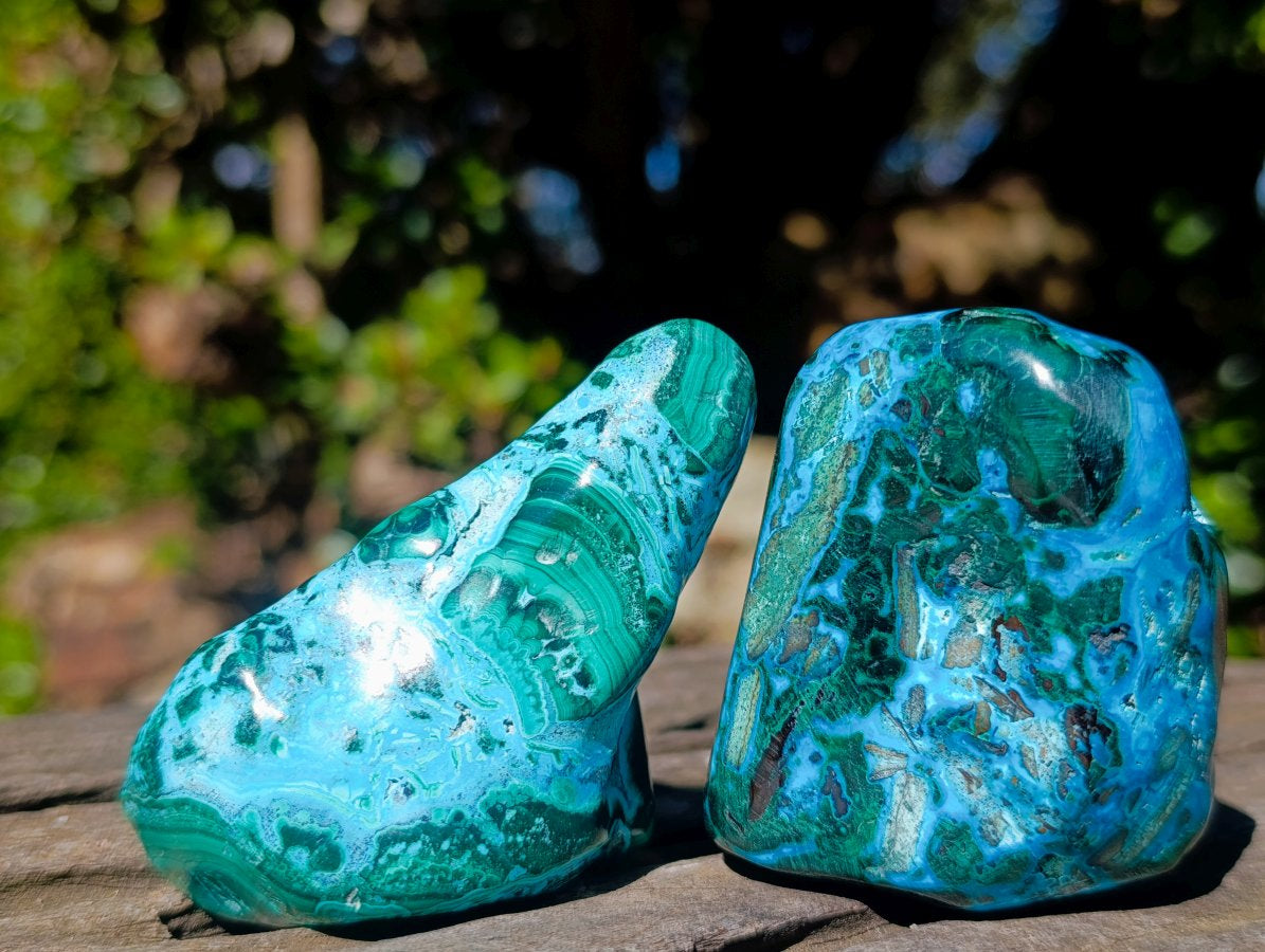 Polished Malacolla Free Forms x 12 From Kulukuluku, Congo - Toprock Gemstones and Minerals 