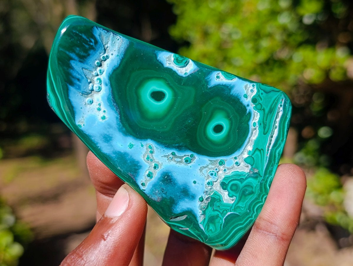 Polished Malacolla Free Forms x 12 From Kulukuluku, Congo - Toprock Gemstones and Minerals 