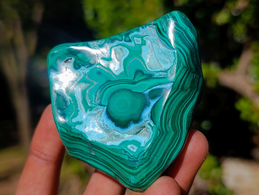 Polished Malacolla Free Forms x 12 From Kulukuluku, Congo - Toprock Gemstones and Minerals 
