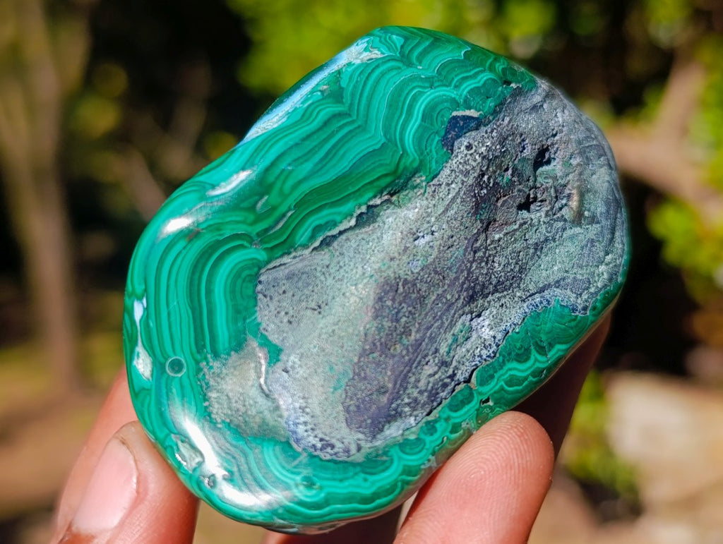 Polished Malacolla Free Forms x 12 From Kulukuluku, Congo - Toprock Gemstones and Minerals 