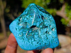Polished Malacolla Free Forms x 12 From Kulukuluku, Congo - Toprock Gemstones and Minerals 