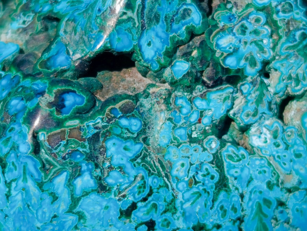 Polished Malacolla Free Forms x 12 From Kulukuluku, Congo - Toprock Gemstones and Minerals 