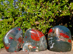 Polished Bloodstone Display Crystal Points x 3 From Swaziland - Toprock Gemstones and Minerals 