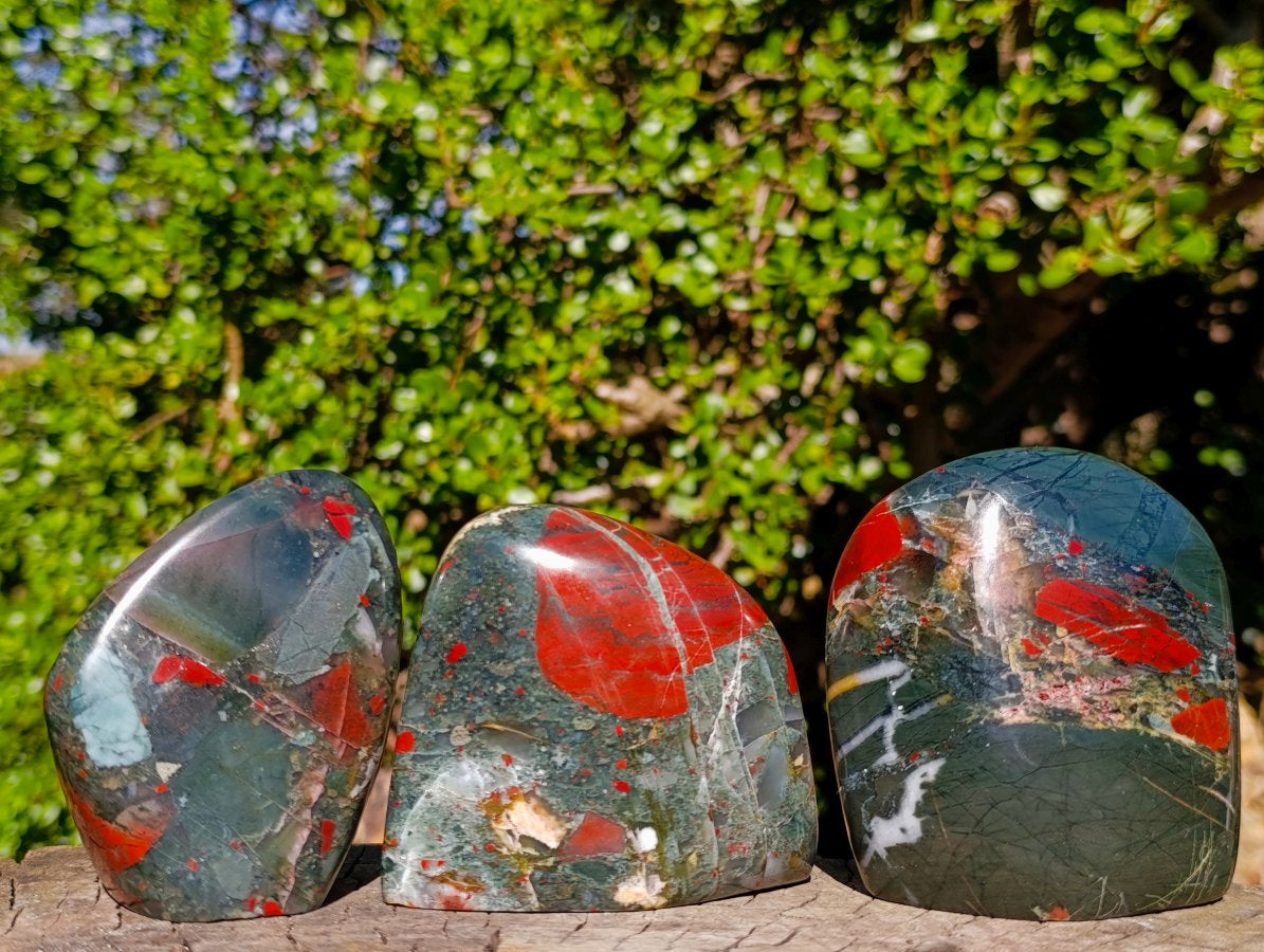 Polished Bloodstone Display Crystal Points x 3 From Swaziland - Toprock Gemstones and Minerals 
