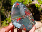 Polished Bloodstone Display Crystal Points x 3 From Swaziland - Toprock Gemstones and Minerals 