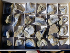 Natural Blue Lace Agate Geode Specimens x 24 From Nsanje, Malawi - Toprock Gemstones and Minerals 