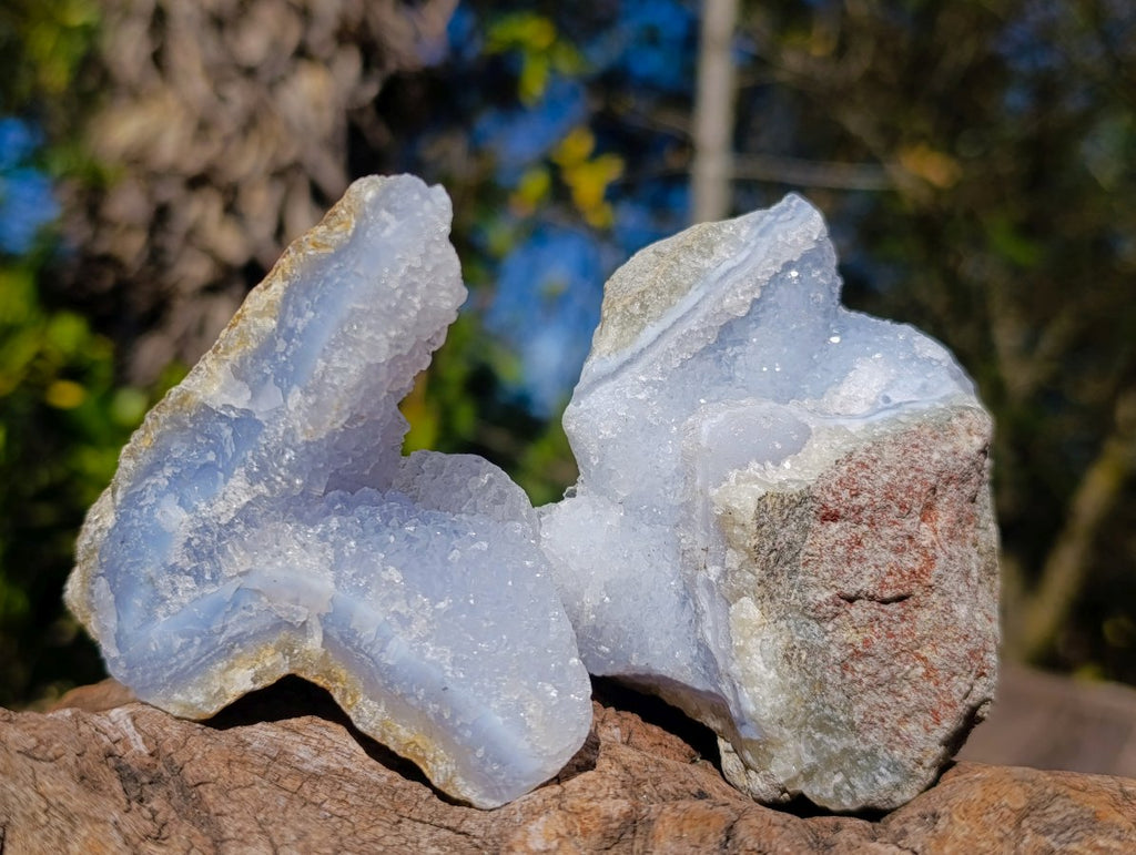 Natural Blue Lace Agate Geode Specimens x 24 From Nsanje, Malawi - Toprock Gemstones and Minerals 