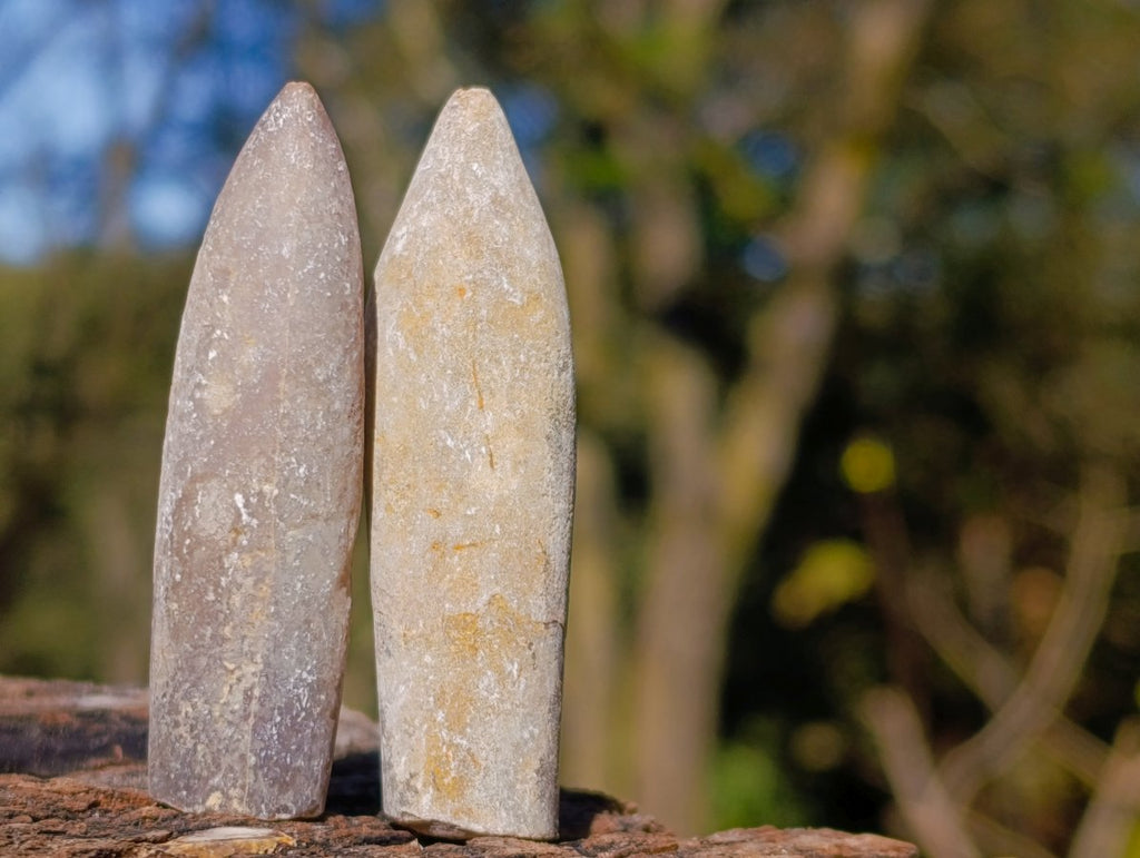 Natural Belemnite Rostrum Fossils x 2.4 Kg Lot From Madagascar - Toprock Gemstones and Minerals 