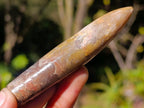 Natural Belemnite Rostrum Fossils x 2.4 Kg Lot From Madagascar - Toprock Gemstones and Minerals 