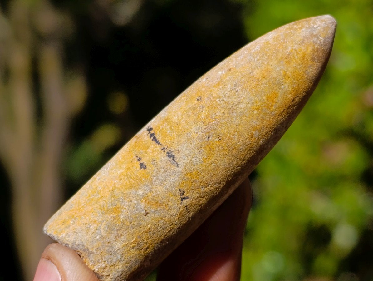 Natural Belemnite Rostrum Fossils x 2.4 Kg Lot From Madagascar - Toprock Gemstones and Minerals 