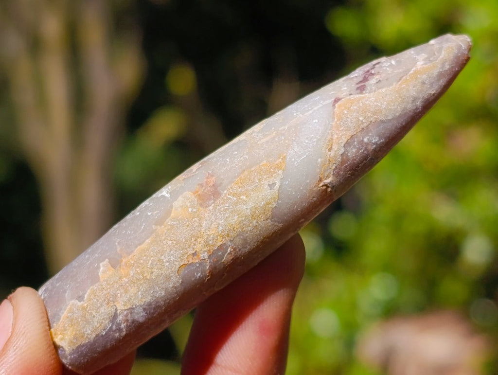 Natural Belemnite Rostrum Fossils x 2.4 Kg Lot From Madagascar - Toprock Gemstones and Minerals 