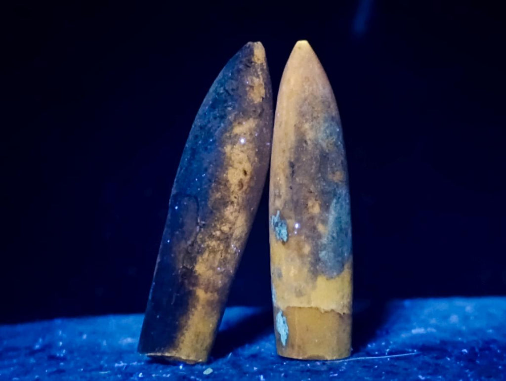 Natural Belemnite Rostrum Fossils x 2.4 Kg Lot From Madagascar - Toprock Gemstones and Minerals 