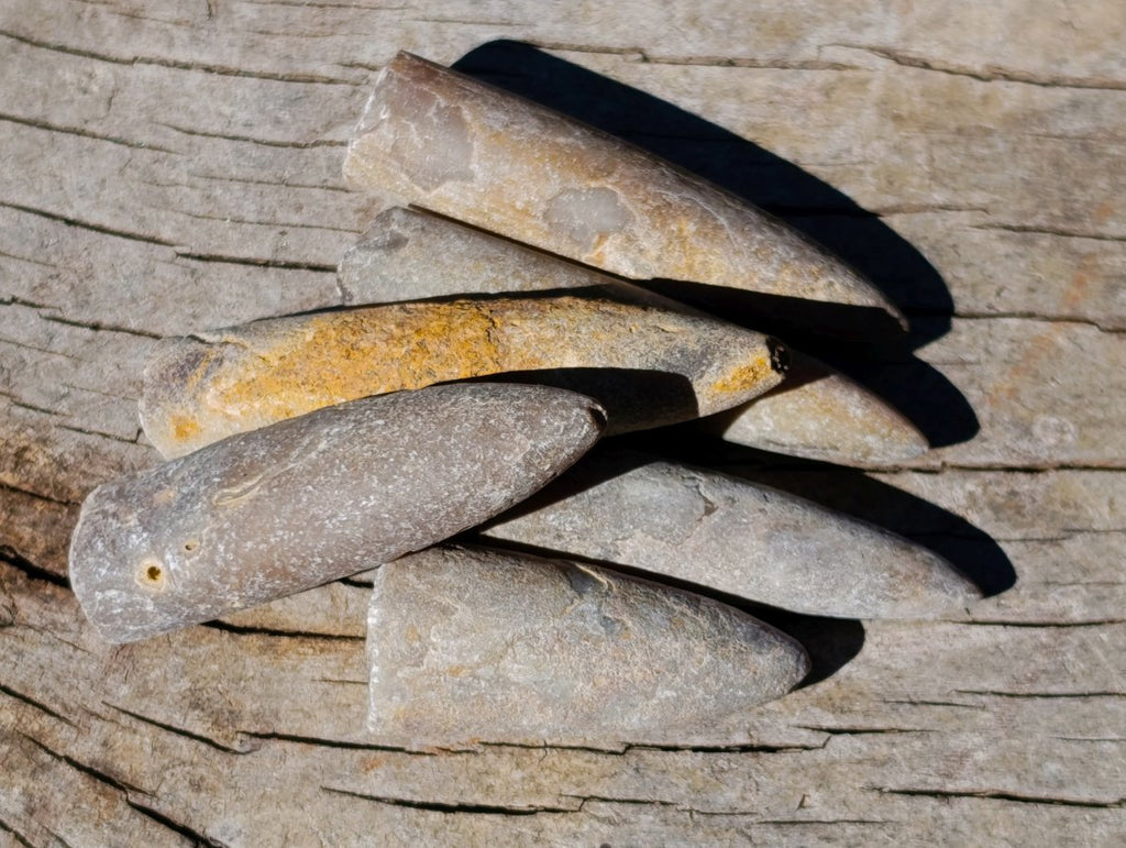 Natural Belemnite Rostrum Fossils x 2.4 Kg Lot From Madagascar - Toprock Gemstones and Minerals 