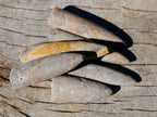 Natural Belemnite Rostrum Fossils x 2.4 Kg Lot From Madagascar - Toprock Gemstones and Minerals 