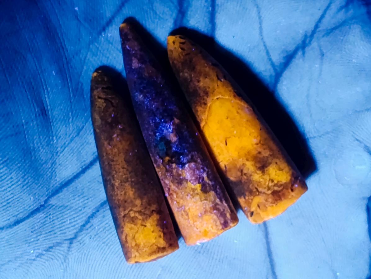Natural Belemnite Rostrum Fossils x 2.4 Kg Lot From Madagascar - Toprock Gemstones and Minerals 