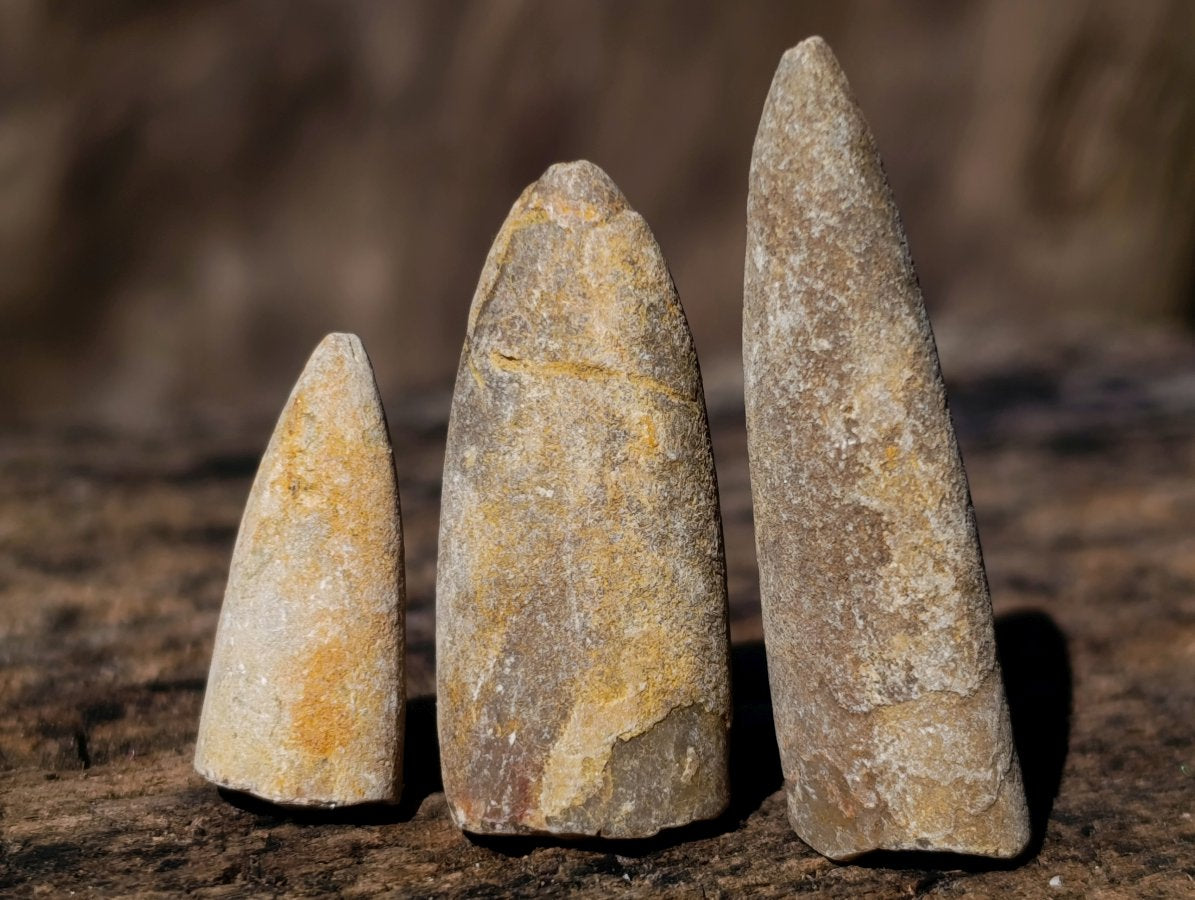 Natural Belemnite Rostrum Fossils x 2.4 Kg Lot From Madagascar - Toprock Gemstones and Minerals 